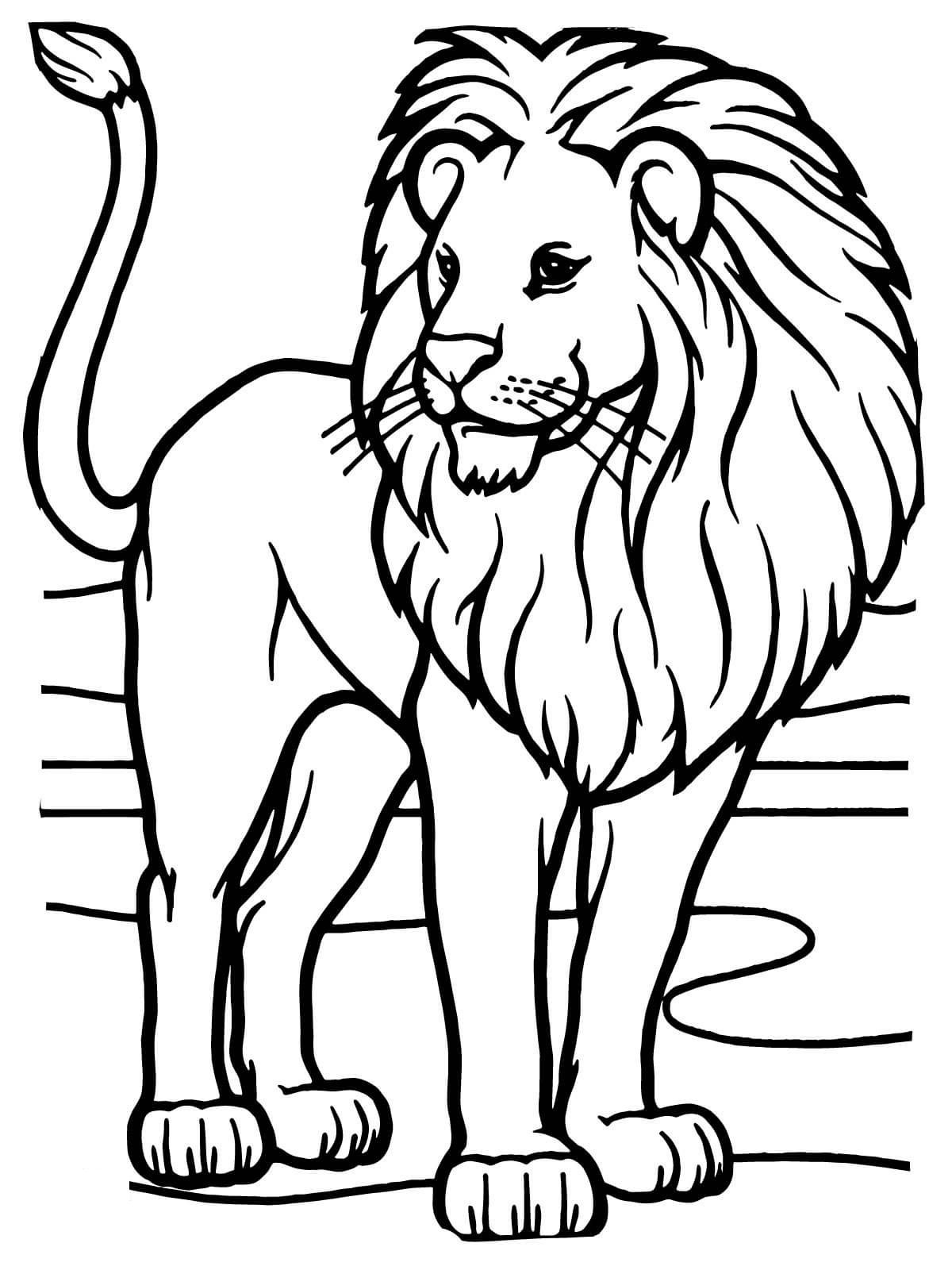 Free African Animals Coloring Pages Pdf - African Animals Coloring Pages Lion