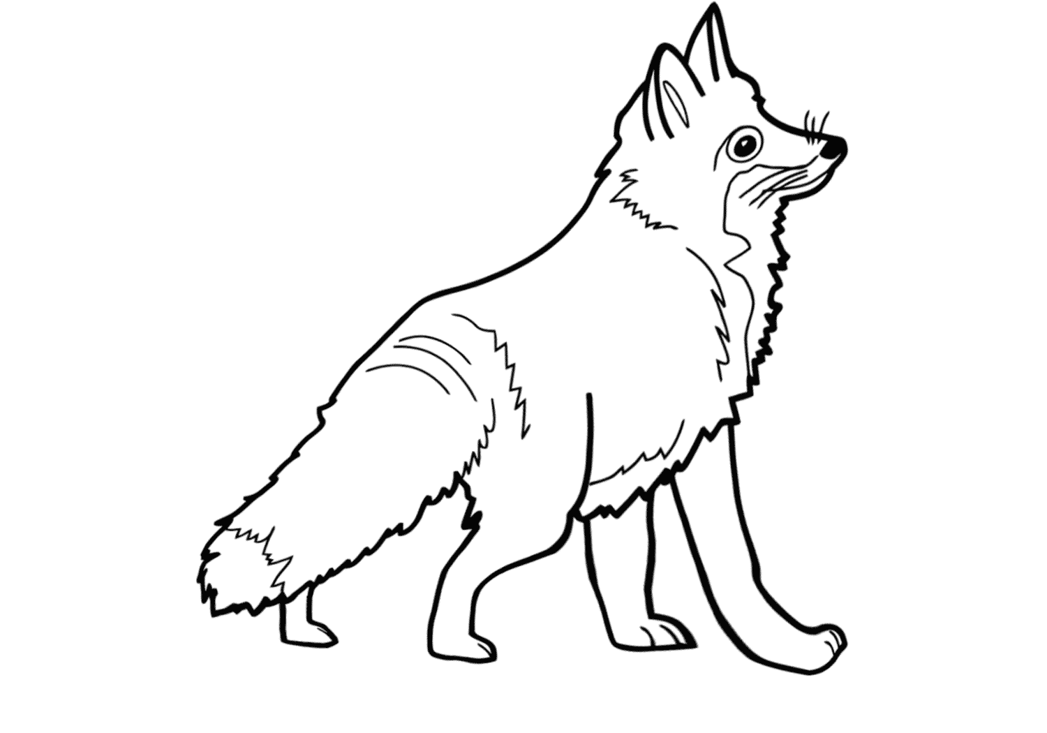 Arctic Fox Coloring Pages Printable Pdf - Arctic Fox Coloring Pages Free
