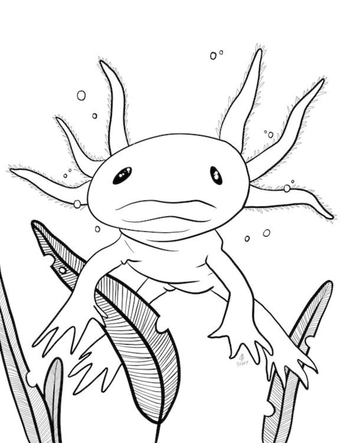 Axolotl Coloring Pages to Print - Axolotl Coloring Pages Free