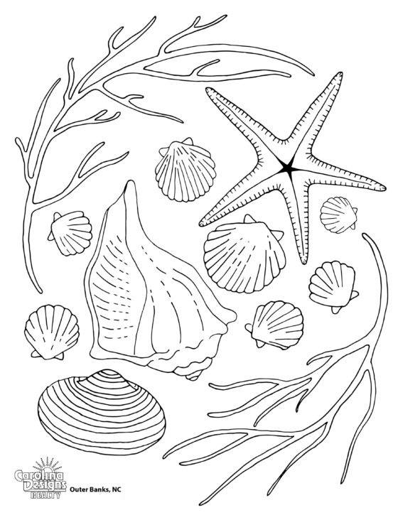 Printable Outer Banks Coloring Pages Pdf - Beachcombing Finds Outer Banks Coloring Pages