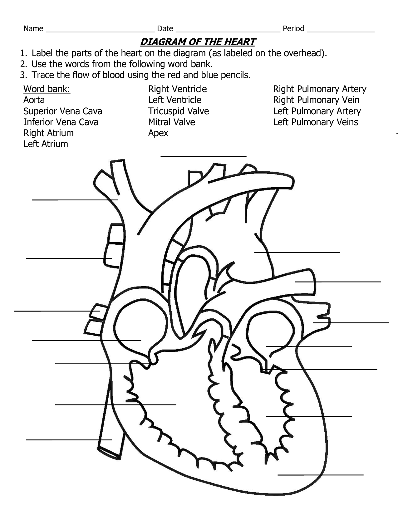 Anatomical Heart Coloring Pages pdf - Coloring Pages Anatomical Heart
