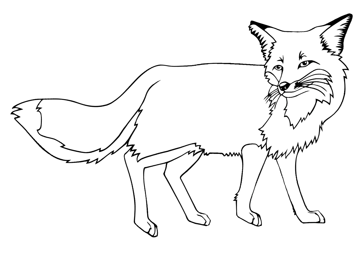 Arctic Fox Coloring Pages Printable Pdf - Coloring Pages Arctic