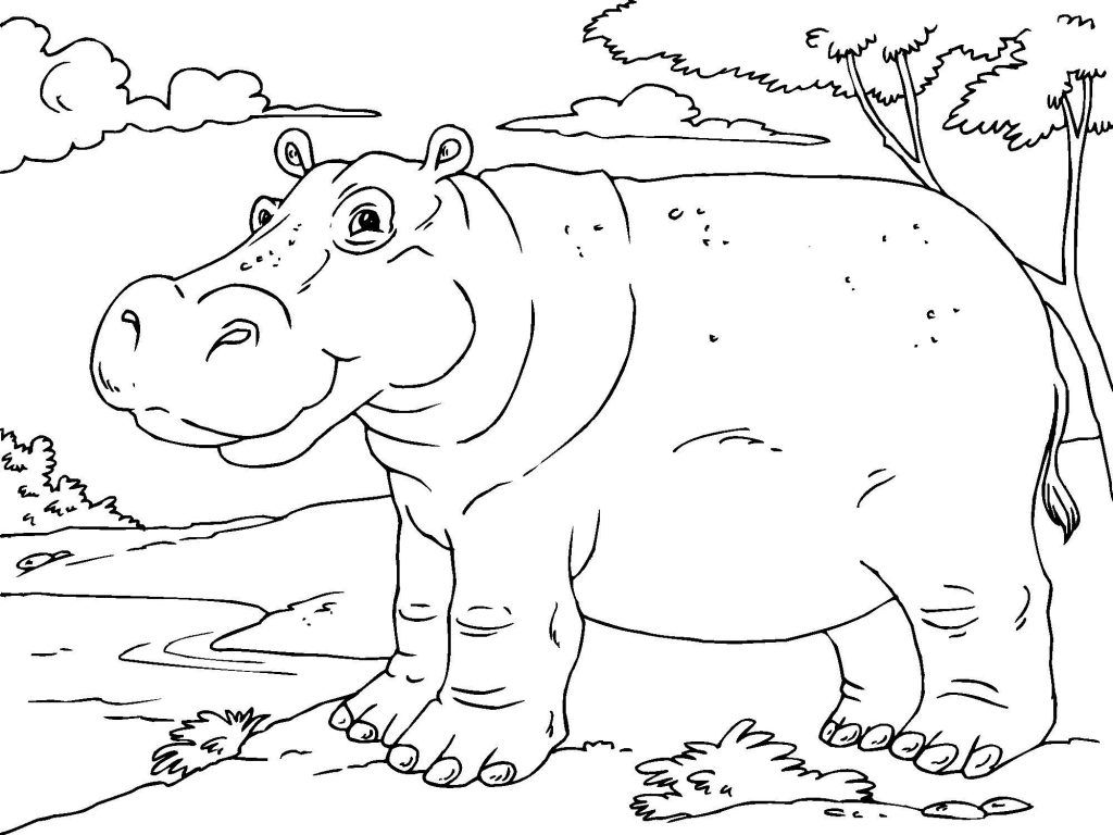 Printable Hippo Coloring Pages Pdf - Coloring Pages Hippo