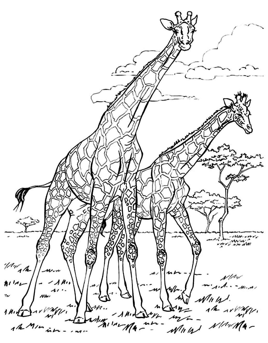 Free African Animals Coloring Pages Pdf - Free African Animals Coloring Pages