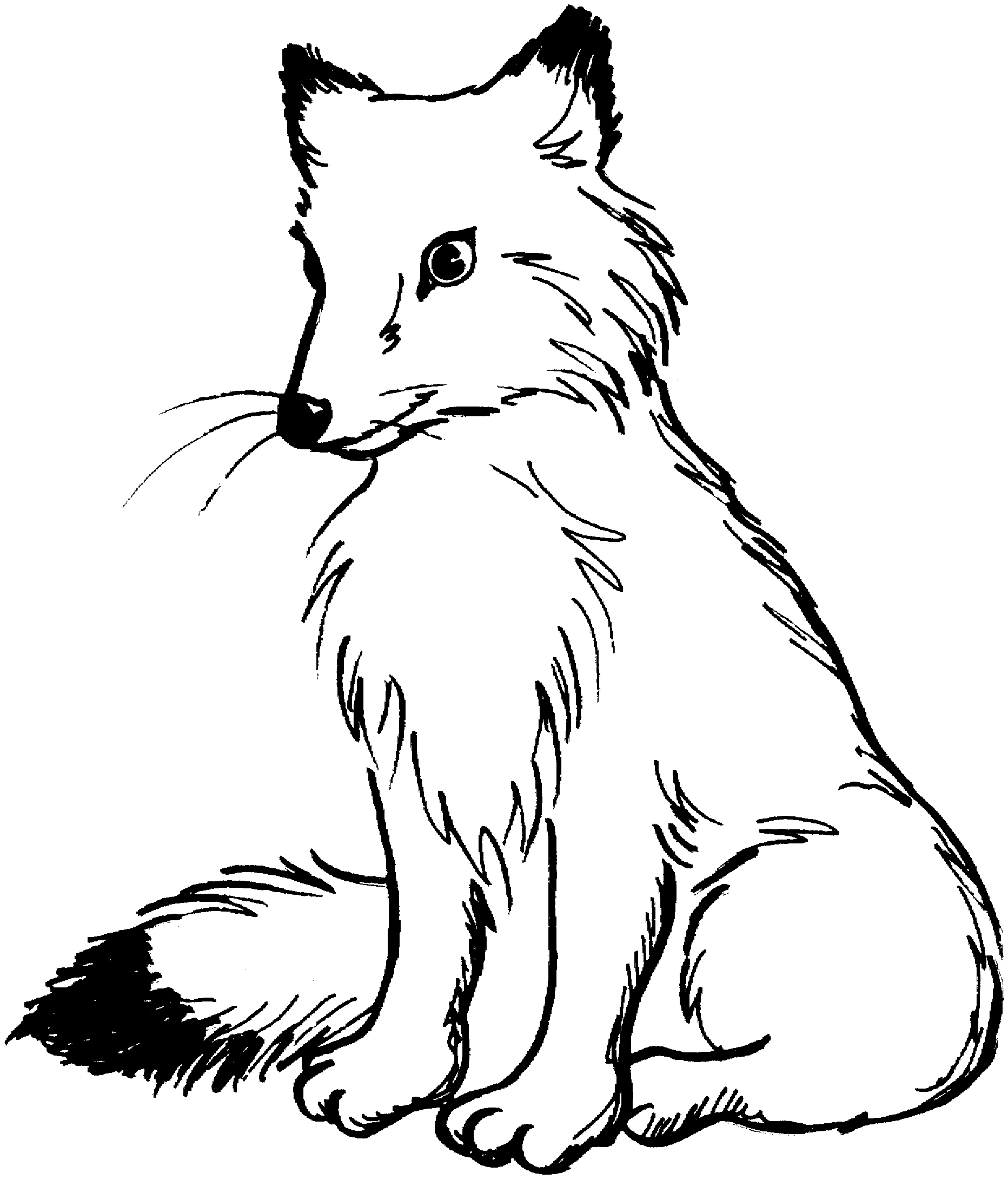 Arctic Fox Coloring Pages Printable Pdf - Free Printable Arctic Fox Coloring Pages