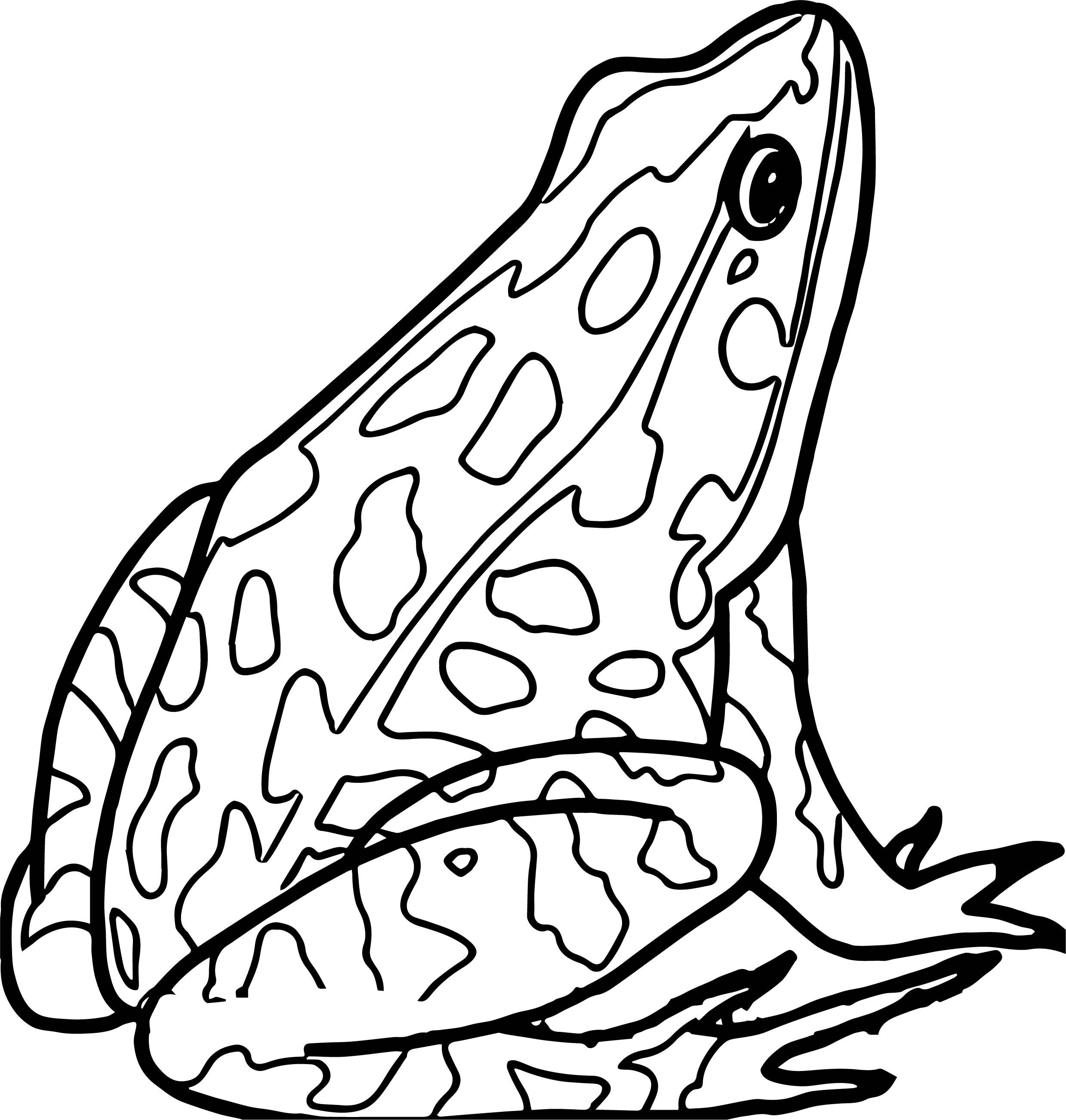 Printable Amphibian Coloring Pages - Printable Amphibian Coloring Pages