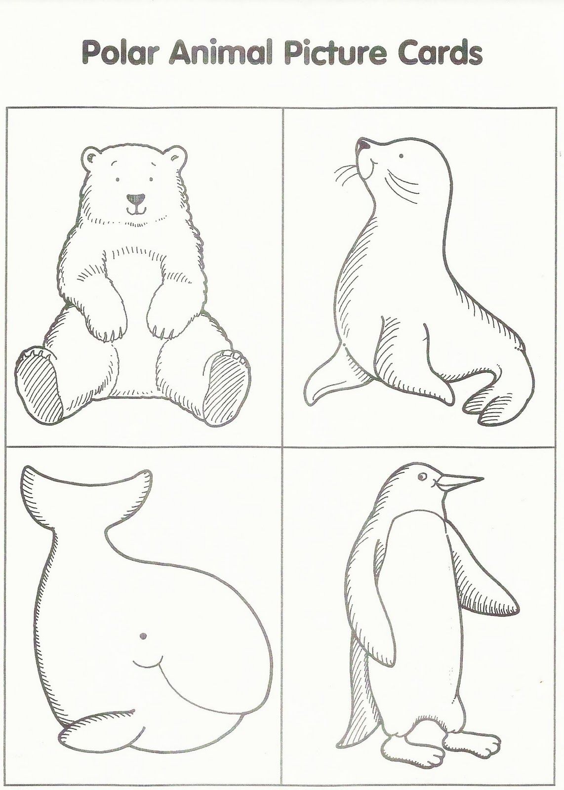 Amazing Arctic Animals Coloring Pages Pdf - Printable Arctic Animals Coloring Pages