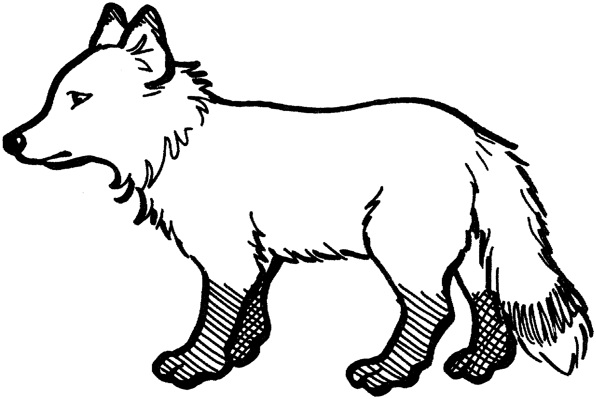 Arctic Fox Coloring Pages Printable Pdf - Printable Arctic Fox Coloring Pages