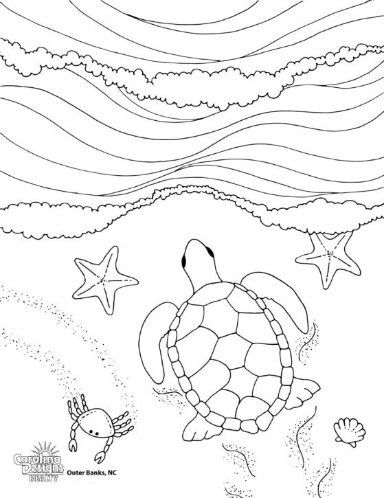 Printable Outer Banks Coloring Pages Pdf - Turtle Beach Outer Banks Coloring Pages
