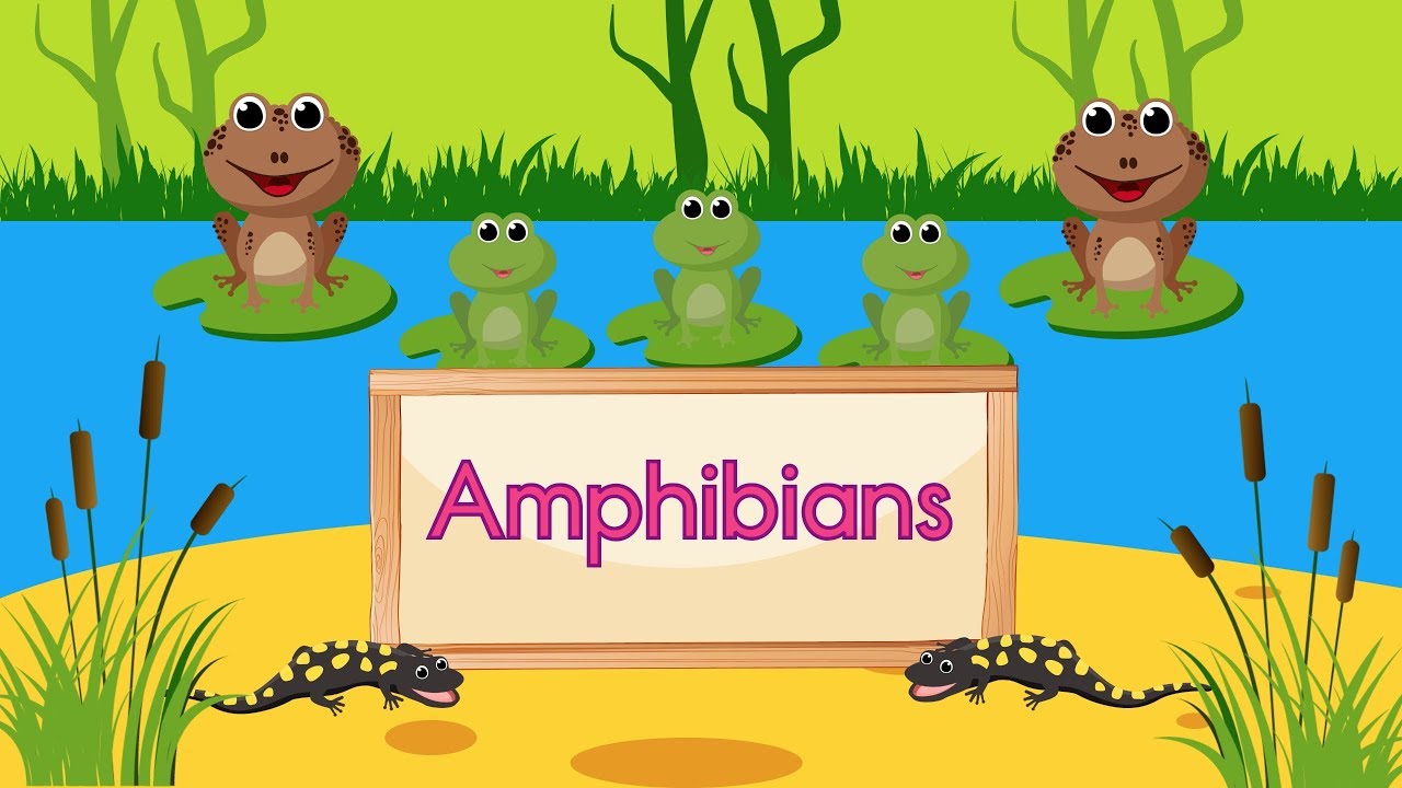 Printable Amphibian Coloring Pages - amphibians