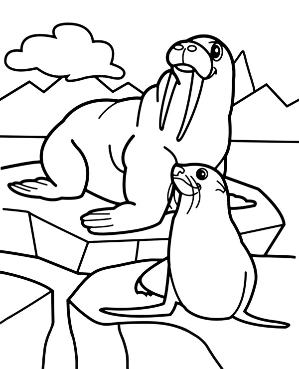 Amazing Arctic Animals Coloring Pages Pdf - arctic animals walrus and seal coloring pages for children