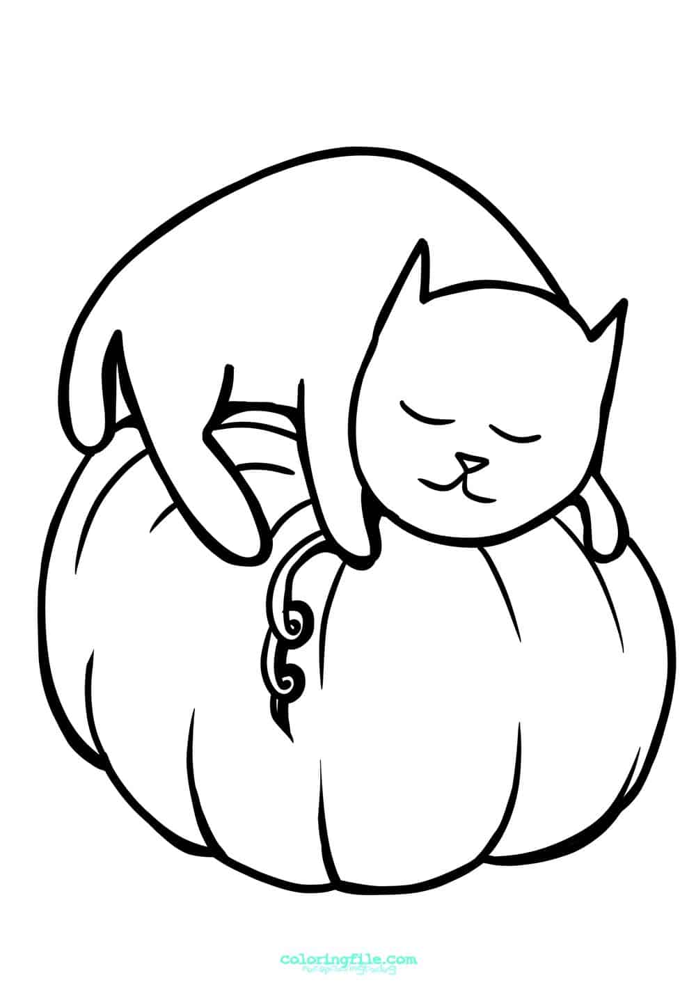 Cat nap on a pumpkin halloween coloring pages