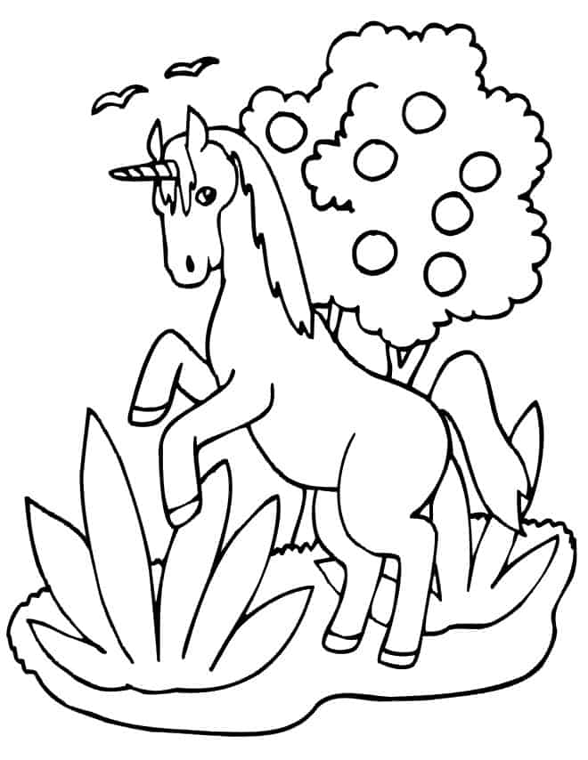 Coloring Pages Unicorn