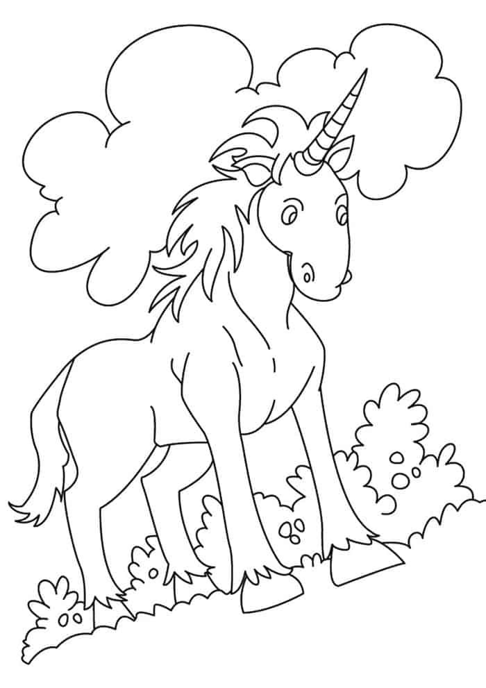 Indian Unicorn Equus Assinoceros Coloring Pages