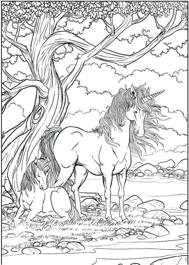 Unicorn Scene Coloring Page For Adults