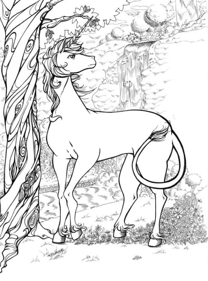Wild Unicorn Coloring Page For Adults