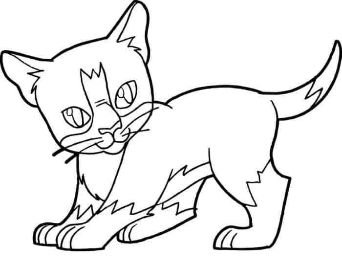 Angry Kitten Coloring Pages