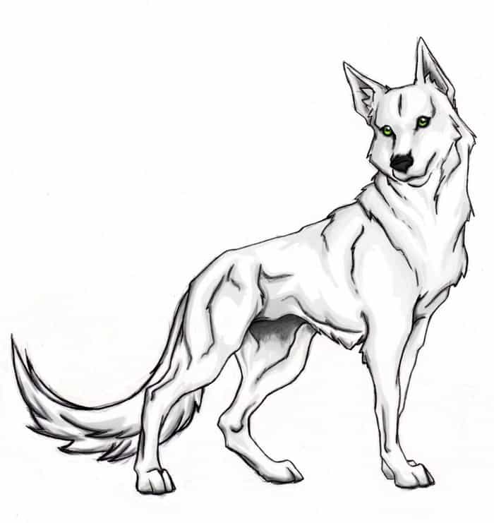 Animal Coloring Pages Wolf
