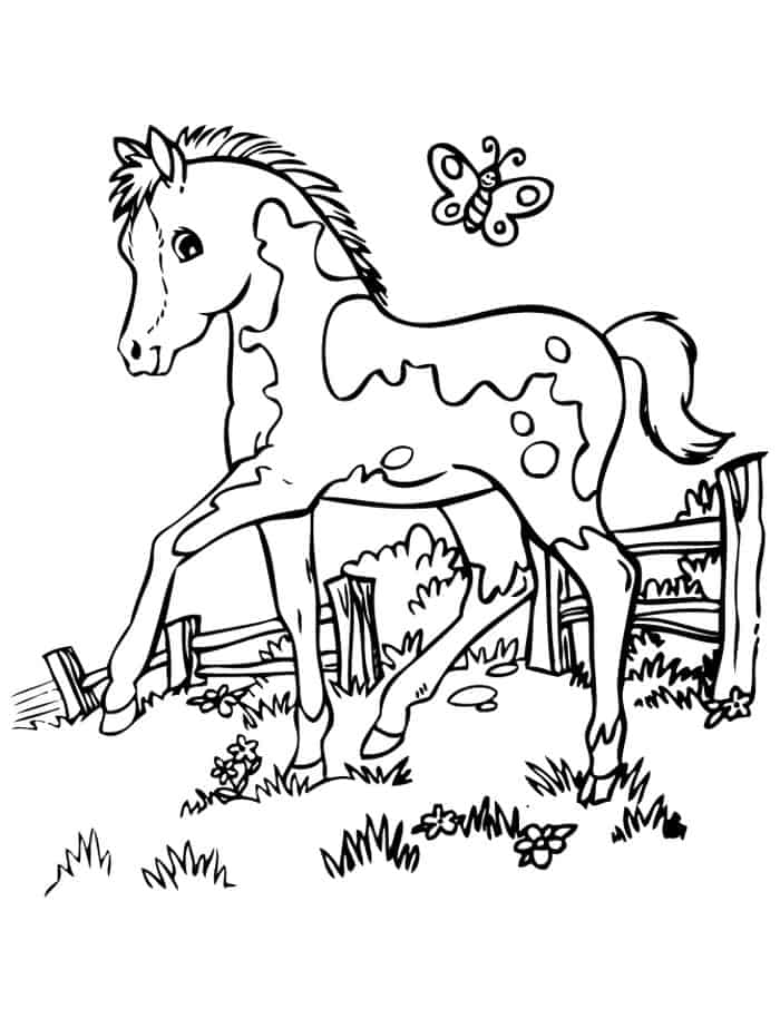 Anime Horse Coloring Pages