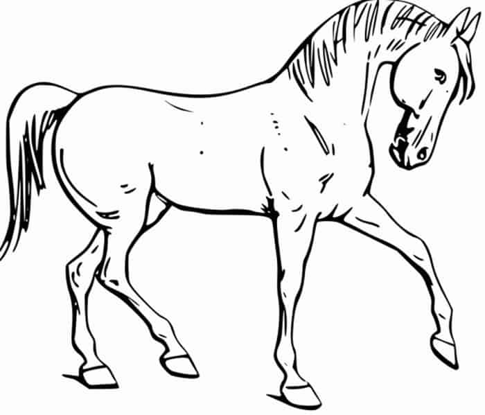 Beautiful Horse Coloring Pages