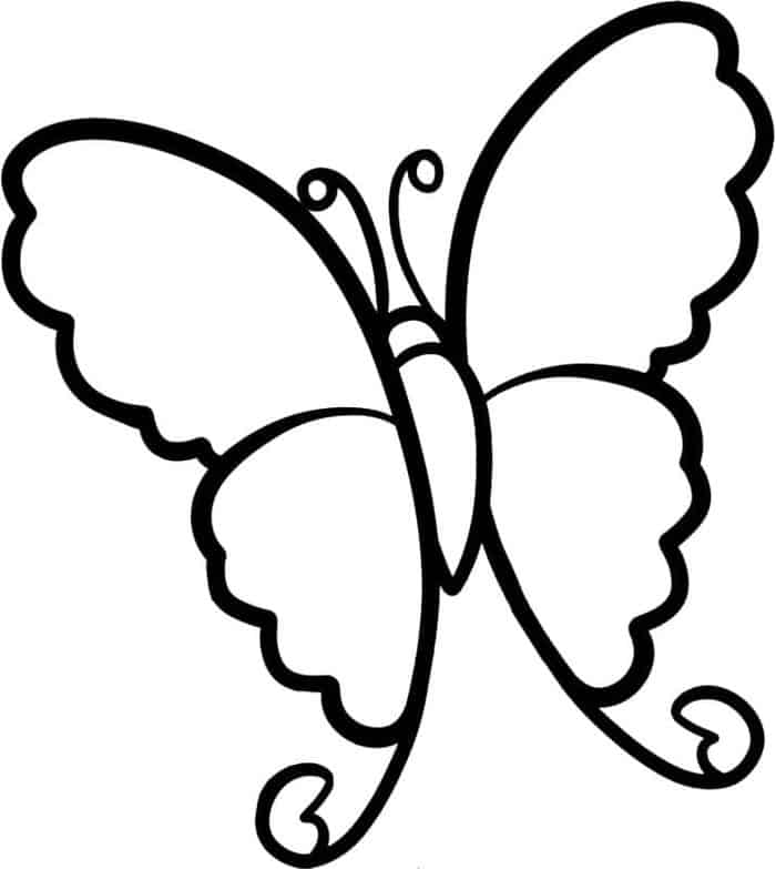 Blank Butterfly Coloring Pages