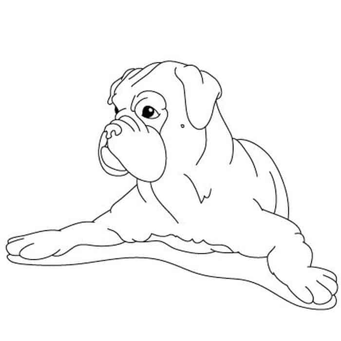 Boxer Dog Coloring Pages For Kids