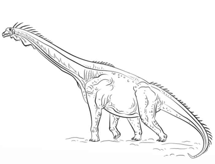 Brachiosaurus Coloring Pages Dinosaur