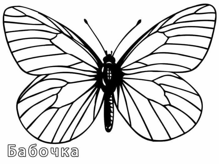 Butterfly Coloring Pages Free