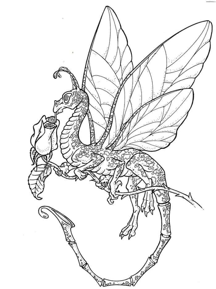 Butterfly Dragon Fantasy Coloring Pages