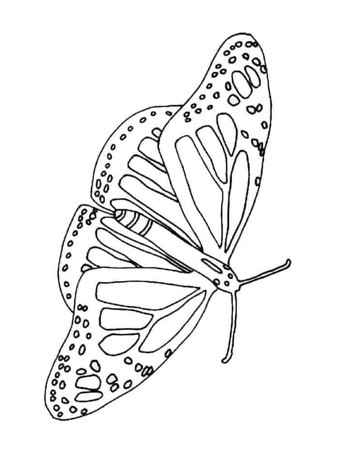 Butterfly Free Coloring Pages