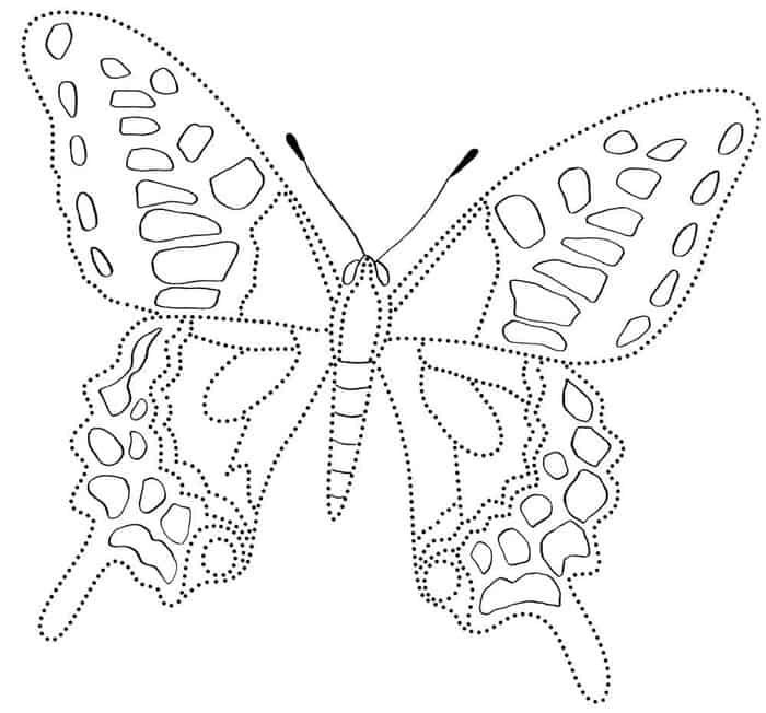 Butterfly Template Coloring Pages
