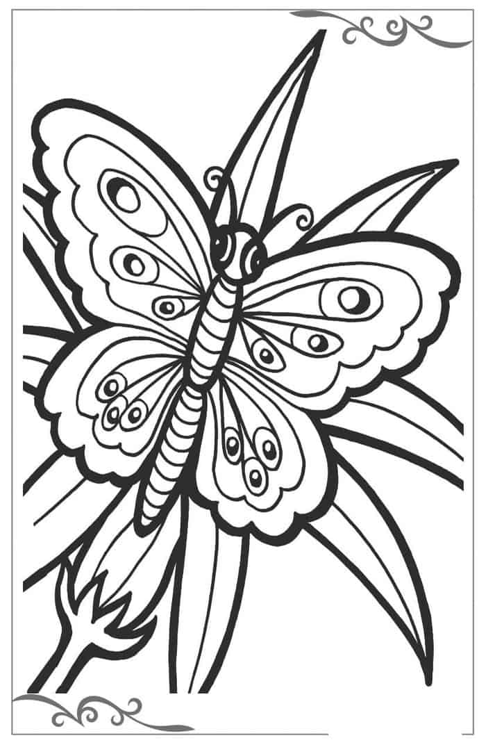 Butterfly With Grass Coloring Pages