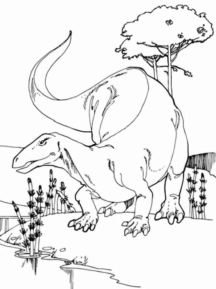 Camptosaurus Realistic Dinosaur Coloring Pages