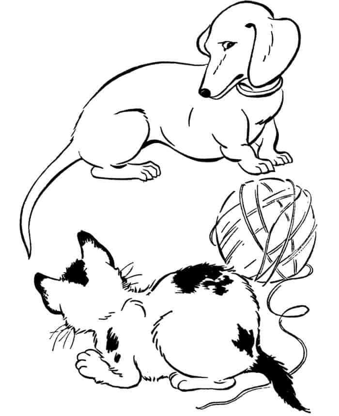 Cat And Dog Coloring Pages