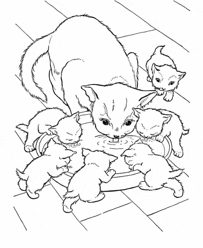 Cat And Kitten Coloring Pages