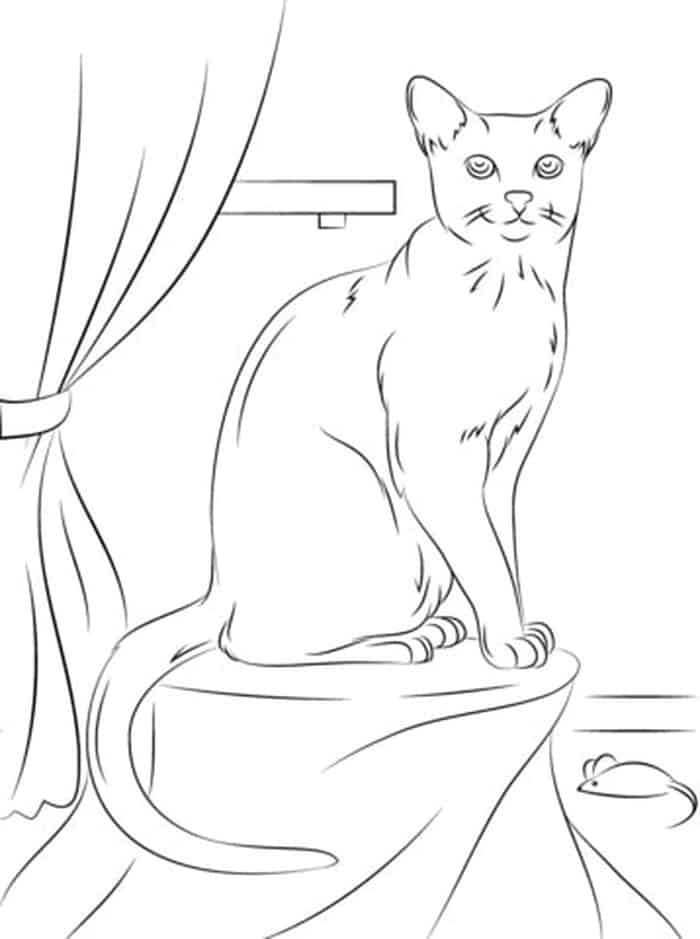 Cat Breed Coloring Pages