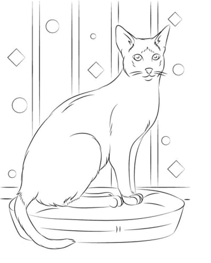 Cat Standing On The Chair Coloring Pages