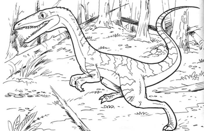 Coelophysis Bauri Dinosaur Coloring Pages With Names