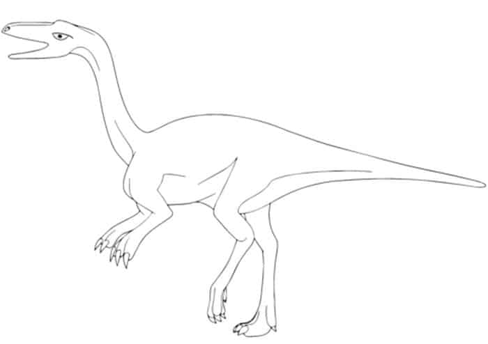 Coelophysis Coloring Pages For Kids Dinosaur