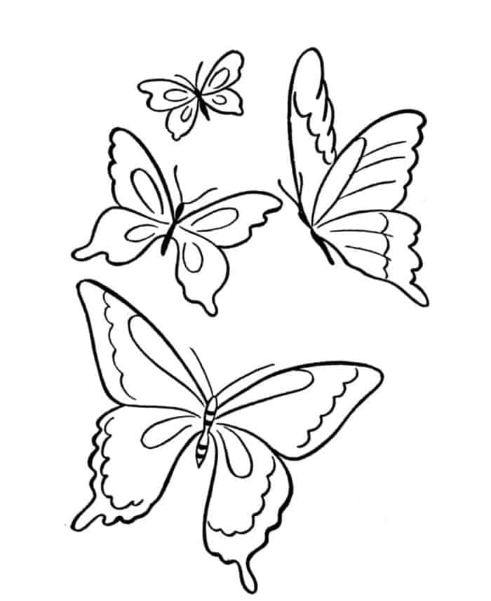 Coloring Pages Butterfly Pictures