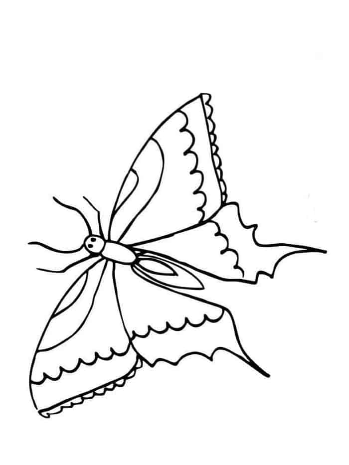 Coloring Pages Butterfly Printable