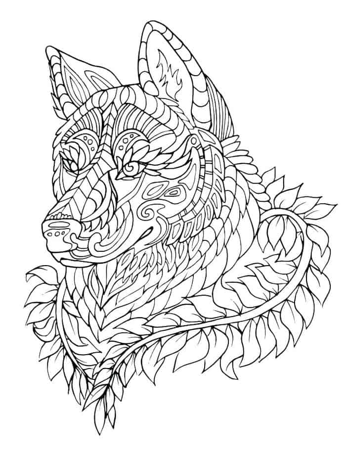 Coloring Pages For Adults Wolf