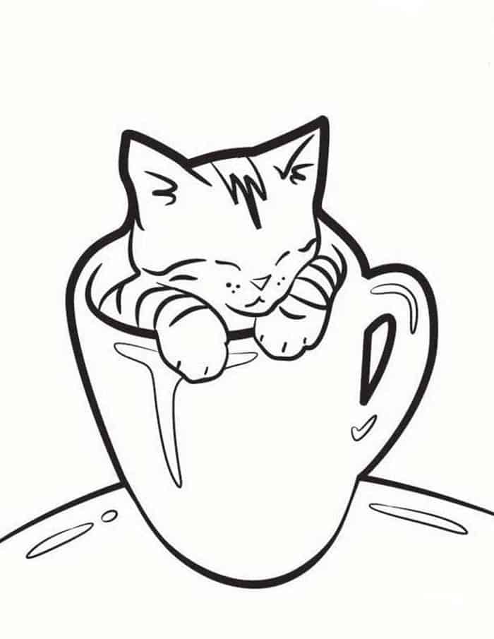 Coloring Pages For Kids Cat