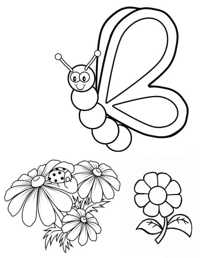 Coloring Pages For Kids Printable Butterfly