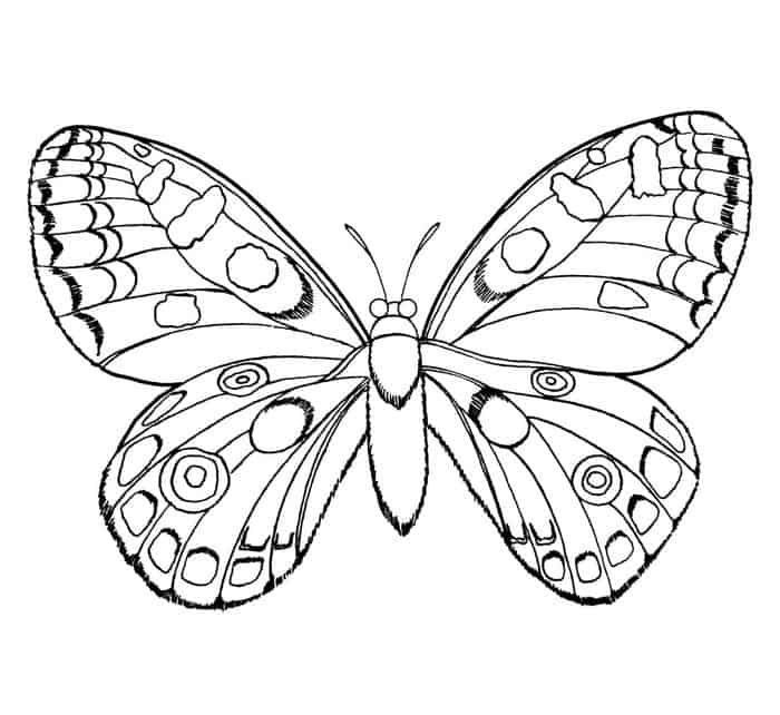 Coloring Pages Of A Butterfly That Are Hard