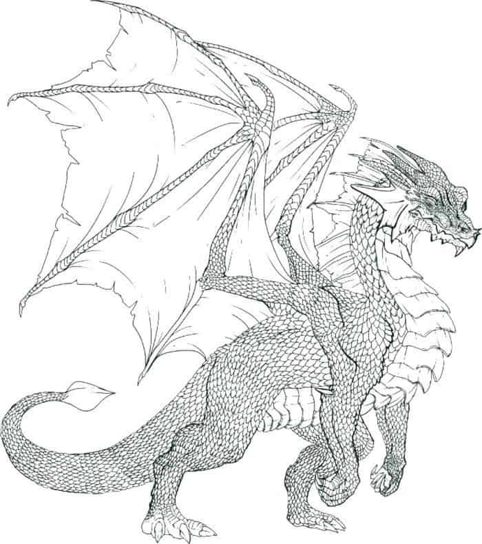 Coloring Pages Of A Dragon