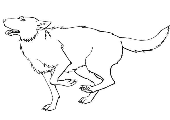 Coloring Pages Of A Wolf