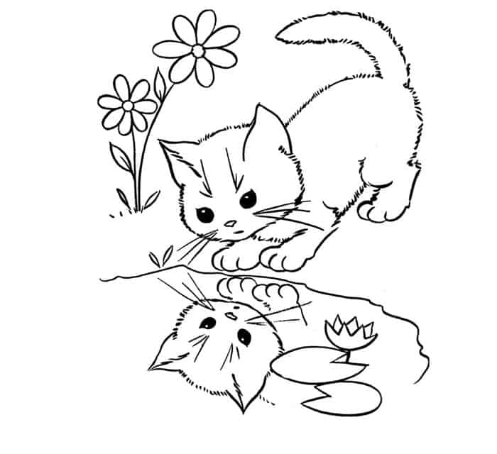 Coloring Pages Of Cat