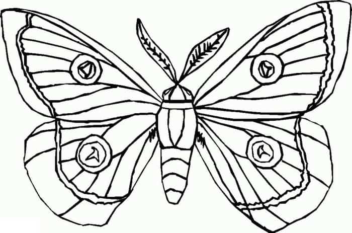 Complicated Butterfly Coloring Pages