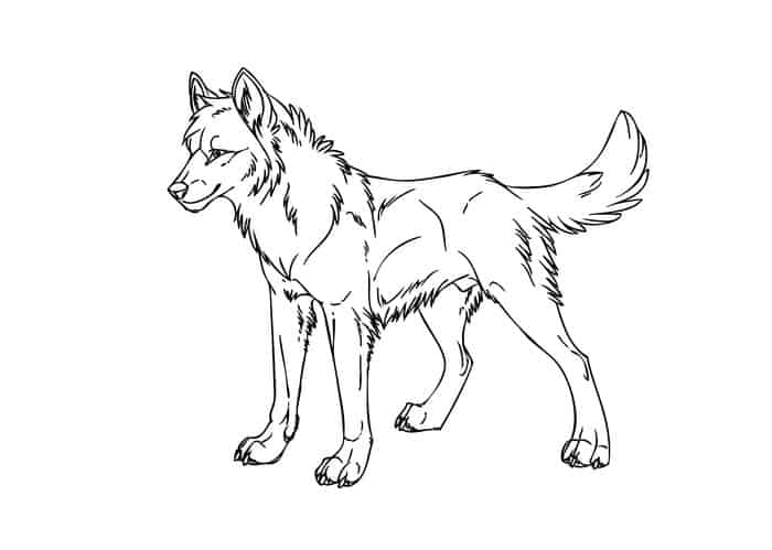 Cool Wolf Coloring Pages